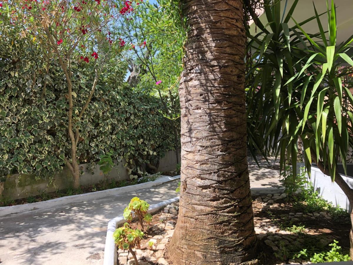 Tiglio ויאסטה מראה חיצוני תמונה